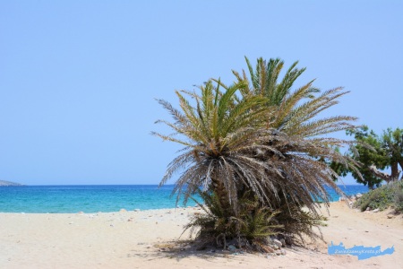 Itanos plaża Kreta