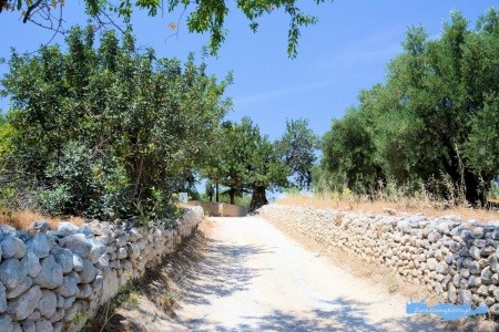 Okolice kościoła Panagia Kera Kreta